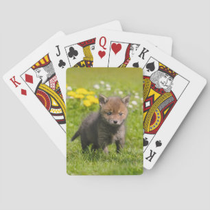 Jeu De Cartes Cute Fluffy Red Fox Cub Wild Baby Animal, jouer