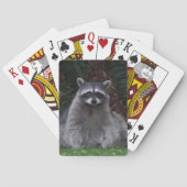 Jeu De Cartes Cute Forest Raccoon Photo Faune (dos)