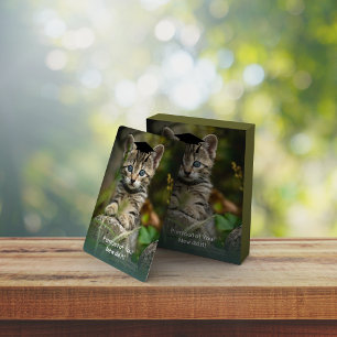 Jeu De Cartes Cute Graduation Kitten
