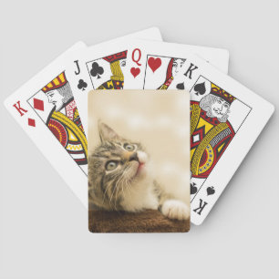 Jeu De Cartes Cute Kitten avec une paille étirée