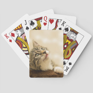 Jeu De Cartes Cute Kitten avec une paille étirée