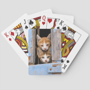 Jeu De Cartes Cute Kittens dans une fenêtre Vintage, Jouer