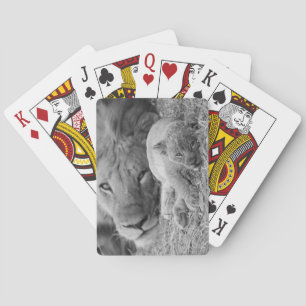 Jeu De Cartes Cute Lion Cub Repose Avec Le Père