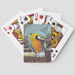 JEU DE CARTES CUTE MACAW