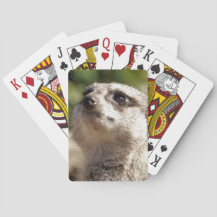JEU DE CARTES CUTE MEERKAT
