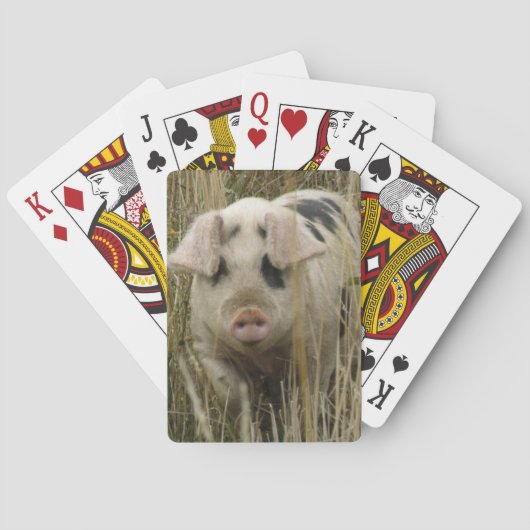 Jeu De Cartes Cute Pig Playing Cards (dos)
