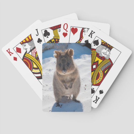 Jeu De Cartes Cute Quokka Animal Beach Faune Australie (dos)
