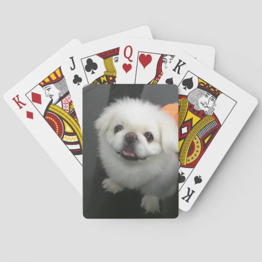 Jeu De Cartes Cute shih tzu regardant la caméra (dos)