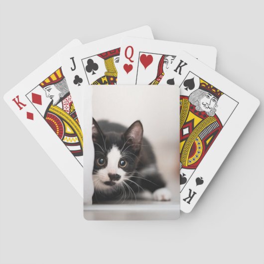 Jeu De Cartes Cutest Baby Animals | Black & White Kitten (dos)