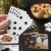 Jeu De Cartes Cutest Baby Animals | Black & White Kittens (In Situ)