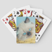 Jeu De Cartes Cutest Baby Animals | Himalayan Seal Point Cat (dos)