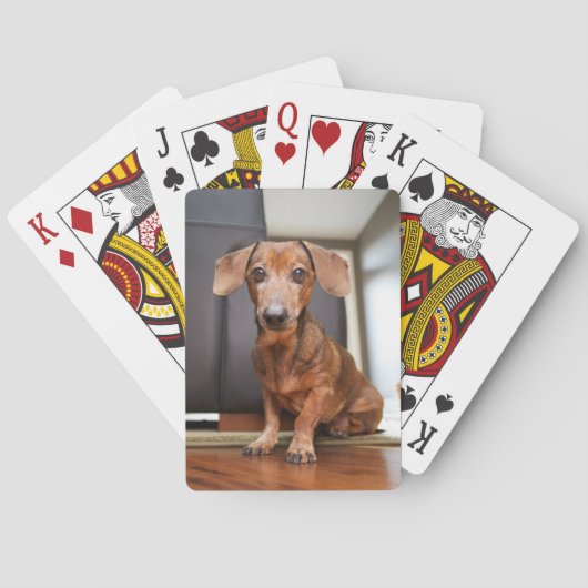 Jeu De Cartes Cutest Baby Animals | Mini Dachshund Puppy (dos)