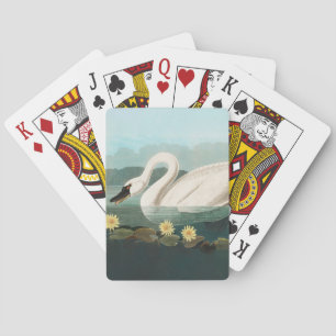 Jeu De Cartes cygne audubon cygnes d'eau blanche