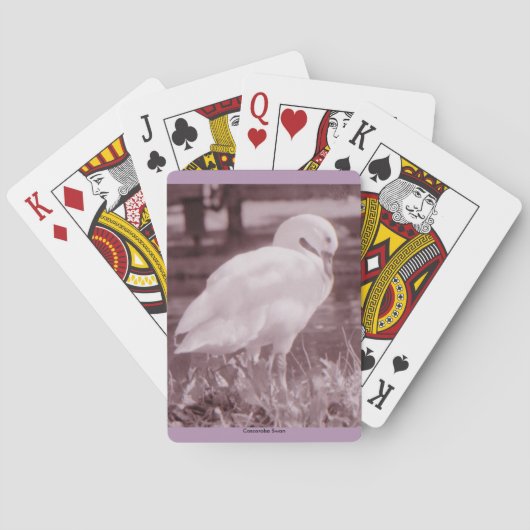 Jeu De Cartes Cygne de Coscoroba (dos)