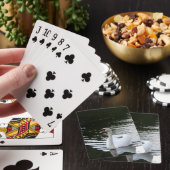 Jeu De Cartes Cygne tuberculé (In Situ)