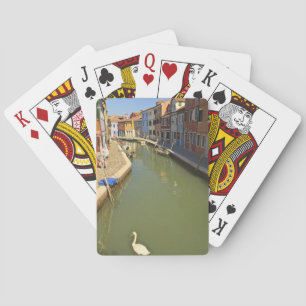 Jeu De Cartes Cygnes dans un canal, île de Burano, Venise, Itali