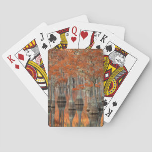 Jeu De Cartes Cyprès George Smith State Park, Géorgie