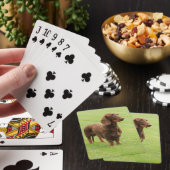 Jeu De Cartes Dachshund (In Situ)