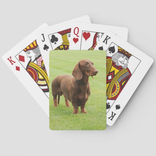 Jeu De Cartes Dachshund (dos)