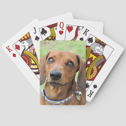 Jeu De Cartes Dachshund (dos)