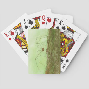 Jeu De Cartes Daddy Long Jambes