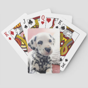 Jeu De Cartes Dalmatien Nez de Coeur