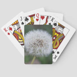 Jeu De Cartes Dandelion Lecture Cartes