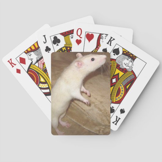 JEU DE CARTES DANSER DES CARTES DE JEU RAT (dos)