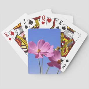 Jeu De Cartes de belles fleurs roses serrant un ciel bleu clair