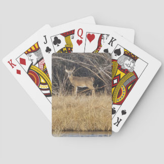 Jeu De Cartes Deer in the Thicket Playing Cards