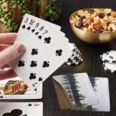 Jeu De Cartes Denver City Park (In Situ)