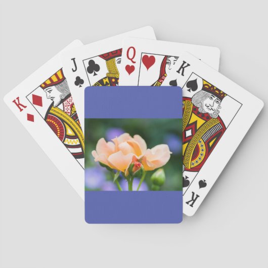 Jeu De Cartes désir déployé (dos)