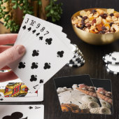 Jeu De Cartes Détail de coquillages du monde entier (In Situ)