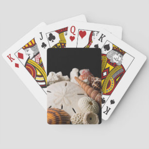 Jeu De Cartes Détail de coquillages du monde entier