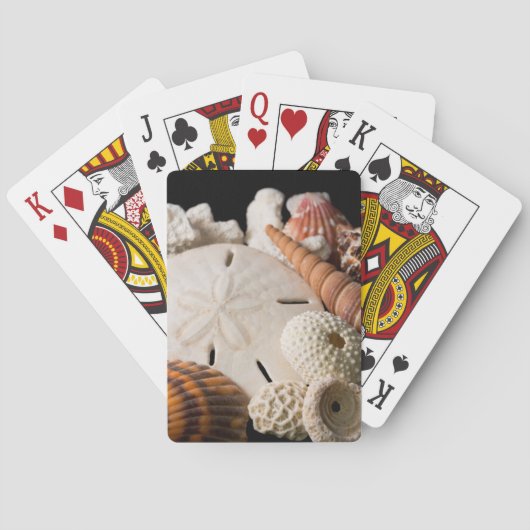 Jeu De Cartes Détail Des Coquillages Du Monde Entier (dos)