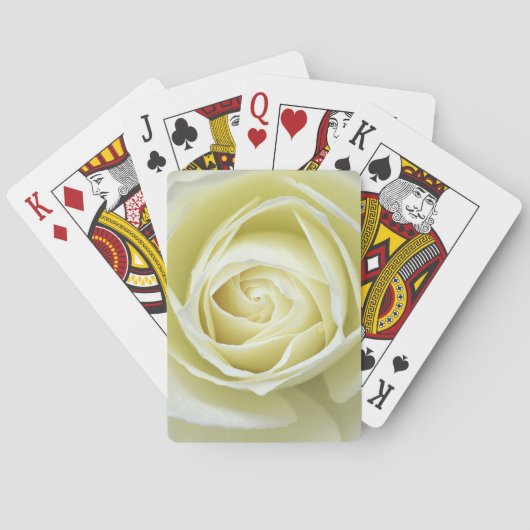 Jeu De Cartes Détails de près de rose blanche (dos)