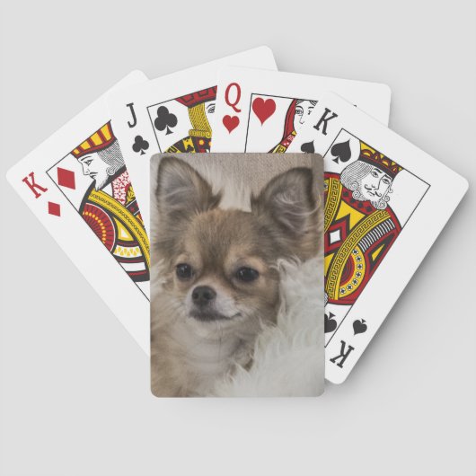 Jeu De Cartes Détente du Chihuahua gâté (dos)