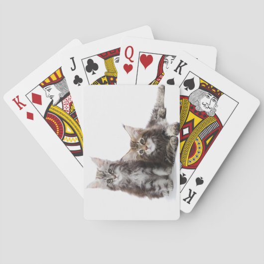 Jeu De Cartes Deux chatons du chat coon du Maine (dos)