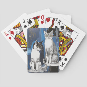 Jeu De Cartes Deux chats gris sur un Arrière - plan Abstrait