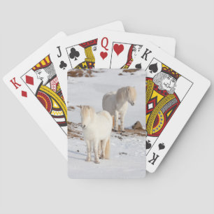 Jeu De Cartes Deux chevaux islandais blancs