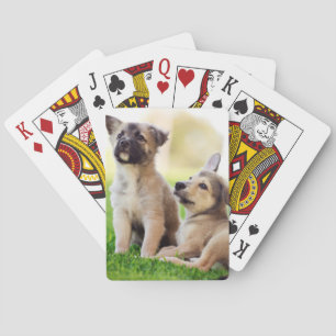 Jeu De Cartes Deux chiots bergers allemands