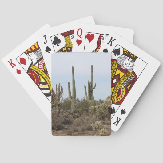 Jeu De Cartes Différents cactus (dos)