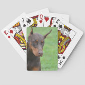 Jeu De Cartes Dobermann (dos)