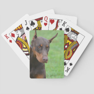 Jeu De Cartes Dobermann