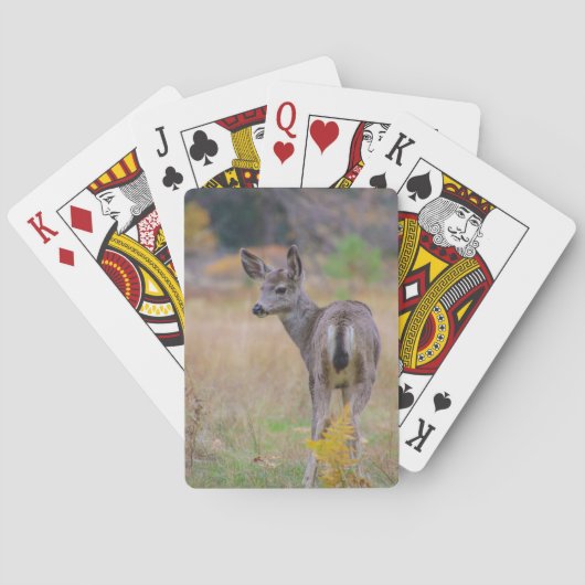 Jeu De Cartes Doe (dos)