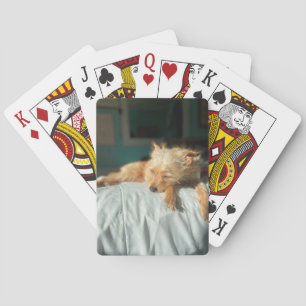 Jeu De Cartes Dormir de Phoboe