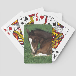 Jeu De Cartes Down