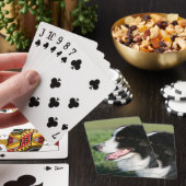 Jeu De Cartes Down de Border (In Situ)