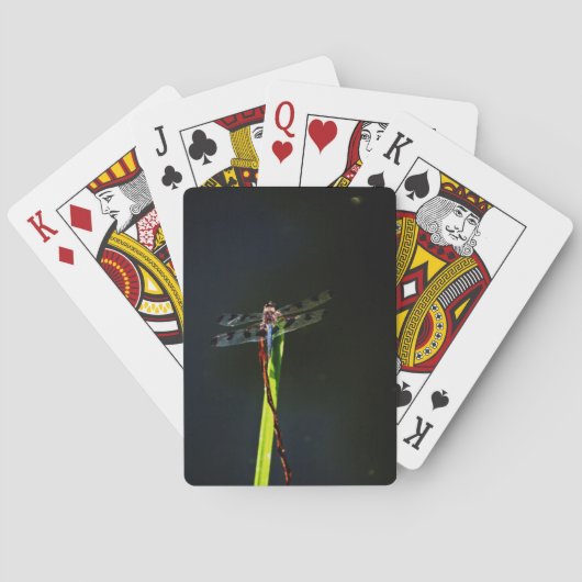 Jeu De Cartes Dragonfly bleu et noir sur gazon vert et rouge (dos)