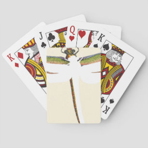 Jeu De Cartes Dragonfly miniature sur Arrière - plan blanc